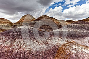 Blue Mesa - Petrified Forest National Park