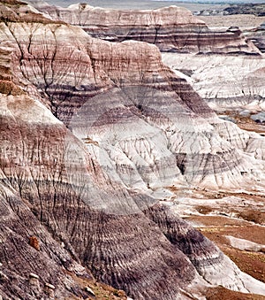 Blue Mesain Petrified Forest National Pa