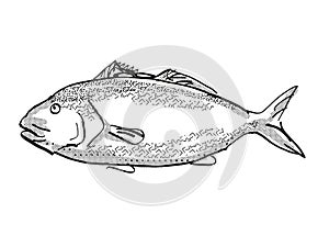 Blue Moki New Zealand Fish Cartoon Retro Drawing