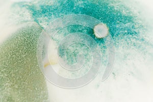 Blue mold background