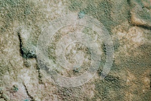 Blue mold background