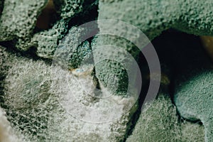 Blue mold background