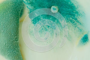 Blue mold background