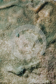 Blue mold background