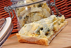 blue mold cheese on toast bread