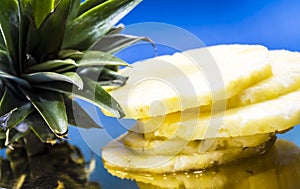 Blue monophonic background. The fresh cut pineapple on round segments. Green leaves. Tropical fruit. Vitamins and health.