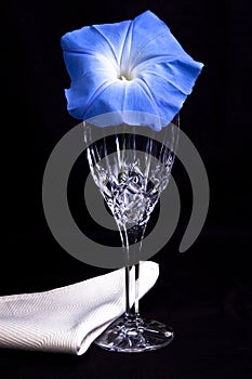 Blue morning glory flower with crystal glass photo