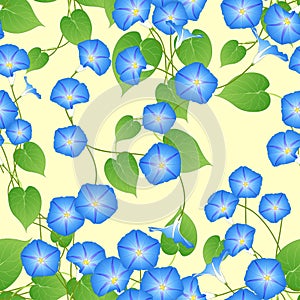 Blue Morning Glory on Ivory Beige Background. Vector Illustration