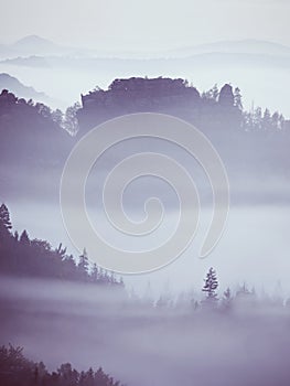 Blue morning, view over rock and fresh green trees to deep valley full of light mist. Dreamy spring landscape