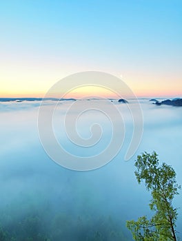 Blue morning, view over rock and fresh green trees to deep valley full of light mist. Dreamy spring landscape within daybreak