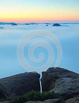 Blue morning, view over rock and fresh green trees to deep valley full of light mist. Dreamy spring landscape within daybreak