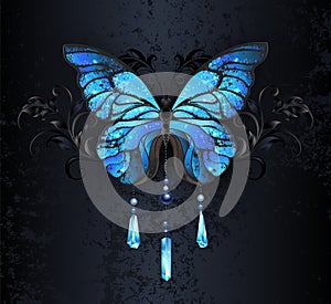 Blue Morpho butterfly on black background