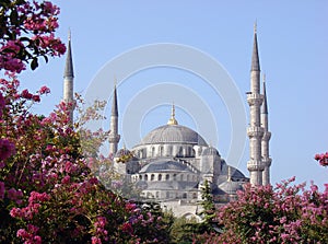 Blue Mosque