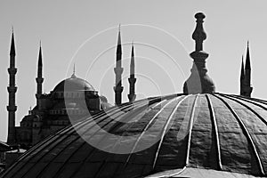 Blue Mosque in B&W