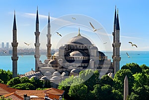 Blue Mosque and Bosphorus photo