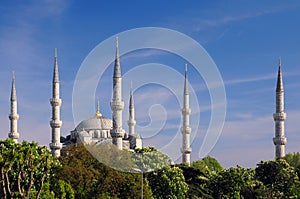 Blue Mosque and Chestnut Trees