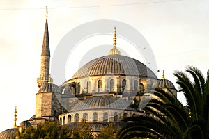 Blue Mosque Dome and minaret