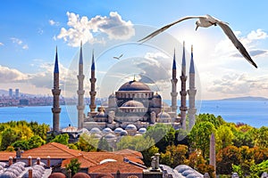 The Blue Mosque in the Golden Horn or Sultan Ahmet Mosque, Istanbul, Turkey