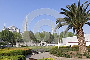 The Blue Mosque in Istanbul