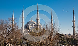 Blue mosque, Istanbul, Turkey