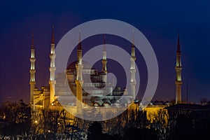 Blue mosque at night