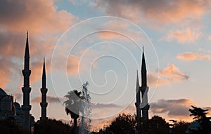 Blue mosque silhouette at sunset in istanbul turkey