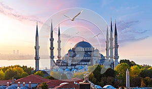 The Blue Mosque or Sultan Ahmet Mosque at sunrise, Istanbul, Turkey