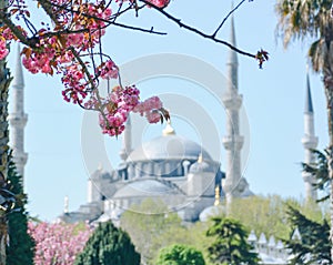 Blue Mosque,Sultanahmet Camii, Bosporus and asian side skyline, Istanbul, Turkey