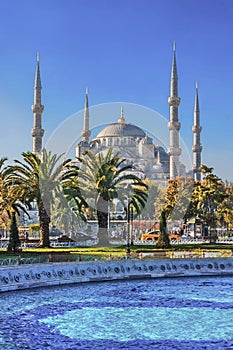 Blue mosque - Sultanahmet Camii Istanbul
