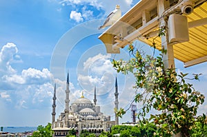 The Blue Mosque Sultanahmet Camii in Istanbul photo