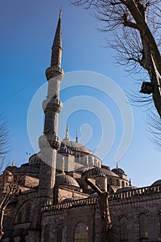 Blue Mosque Vertical