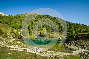 Blue Mountain Lake with Green Pine Forest on a Sunny Morning