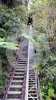 Blue Mountain rail tracks photo