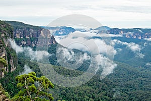 Blue Mountains in Australia.