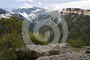 Blue mountains. Australia. photo