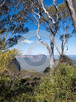 Blue Mountains, Australia