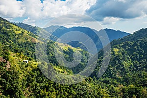 Blue mountains of Jamaica where coffee is grown