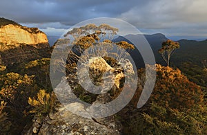 Blue Mountains, Jamison Valley to Mount Solitary