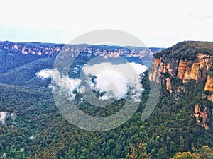 The Blue Mountains National Park, Sydney, Australia