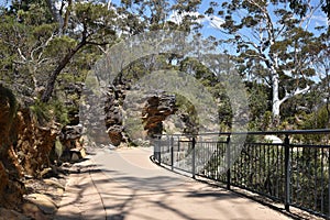Blue Mountains National Park trail, NSW, Australia