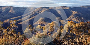 Blue Mountains Nature Landscape, Austalia