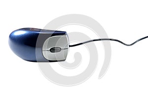 Blue mouse