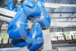 à¸ºBlue Muay Thai boxing gloves hanging on Corner of boxing rin