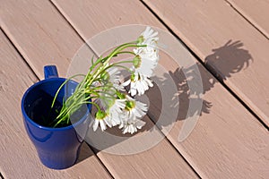 Blue mug on wooden table with little bunch of white chamomile flowers in bright strong sunlights with long shadows