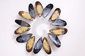 Blu pasto di cozze 