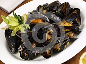 Blue Mussel on a Plate