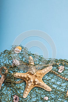 Blue nautical background with sea shells, starfishes and fishing net. Assorted marine animals