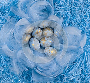 blue nest with Easter eggs with feathers on blue background