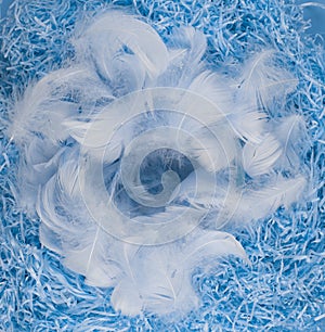 blue nest with Easter eggs with feathers on blue background