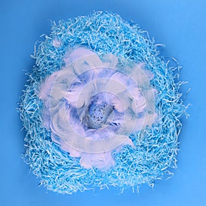 blue nest with Easter eggs with feathers on blue background